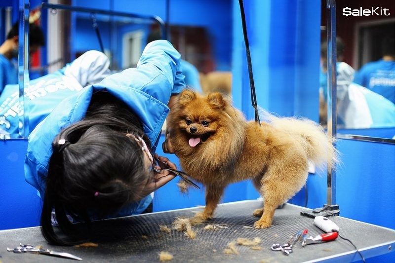 kinh doanh gì nhanh giàu