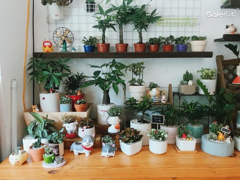 kinh doanh c&acirc;y cảnh mini tại cửa h&agrave;ng