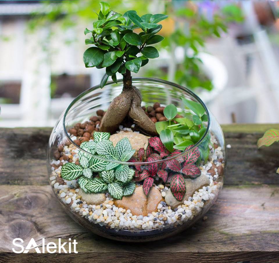 khoi nghiep kinh doanh voi 10 trieu dong