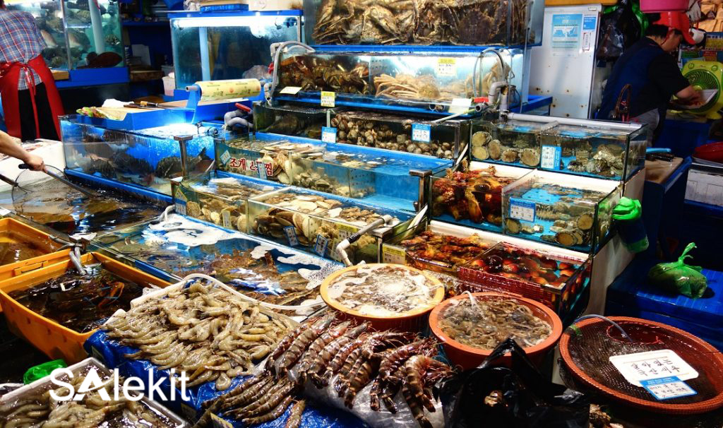 kinh doanh hai san tuoi song