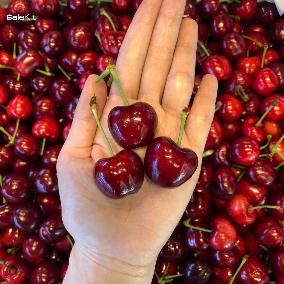 kinh doanh hoa quả nhập khẩu