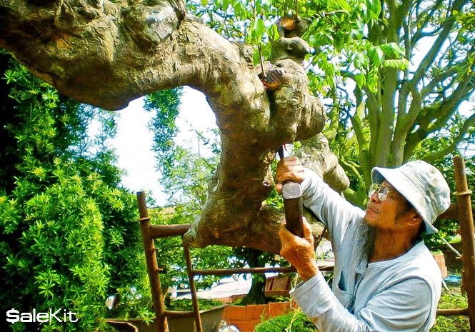 Kinh doanh tại n&ocirc;ng th&ocirc;n