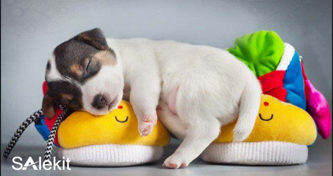 nganh nghe kinh doanh sieu loi nhuan