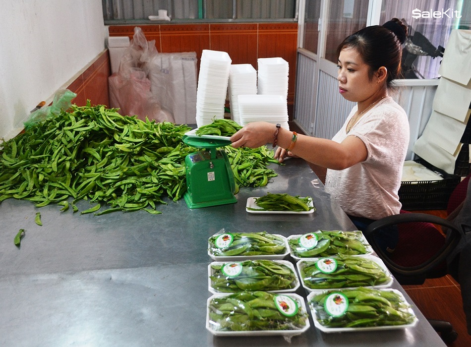 kinh doanh thực phẩm sạch an to&agrave;n