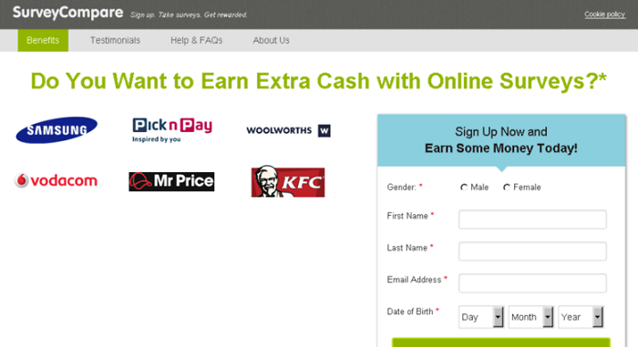 Khảo s&aacute;t kiếm tiền