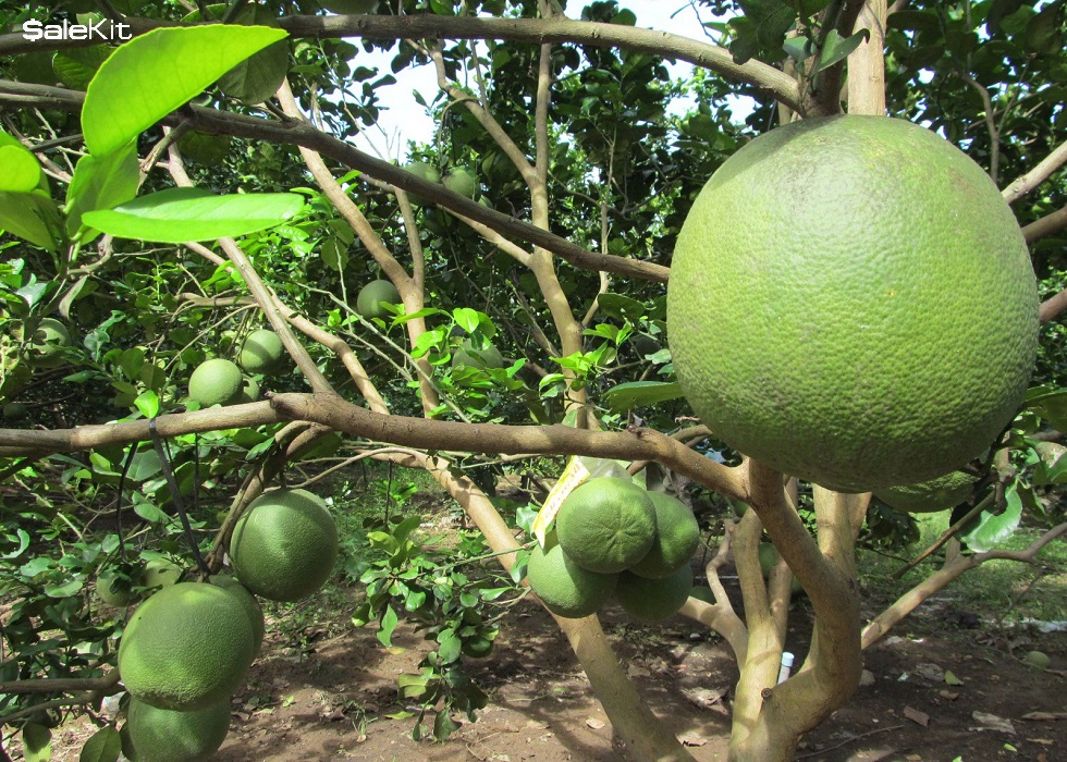 những mặt hàng dễ kinh doanh nhất hiện nay