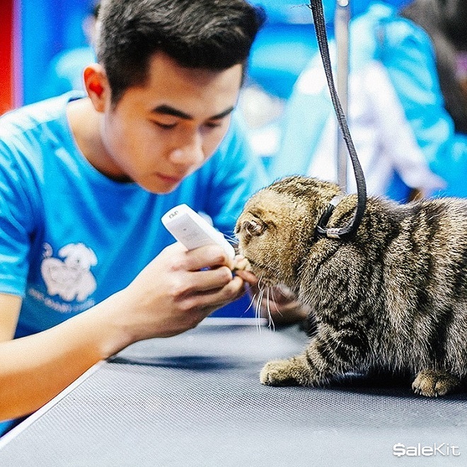 kinh doanh cửa h&agrave;ng chăm s&oacute;c th&uacute; cưng