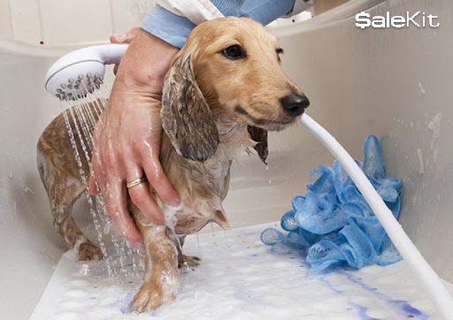 cửa h&agrave;ng chăm s&oacute;c th&uacute; cưng