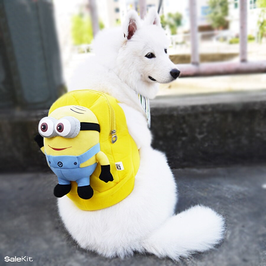 dịch vụ chăm s&oacute;c th&uacute; cưng