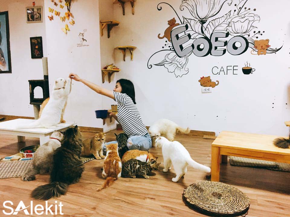mo hinh kinh doanh cafe pet
