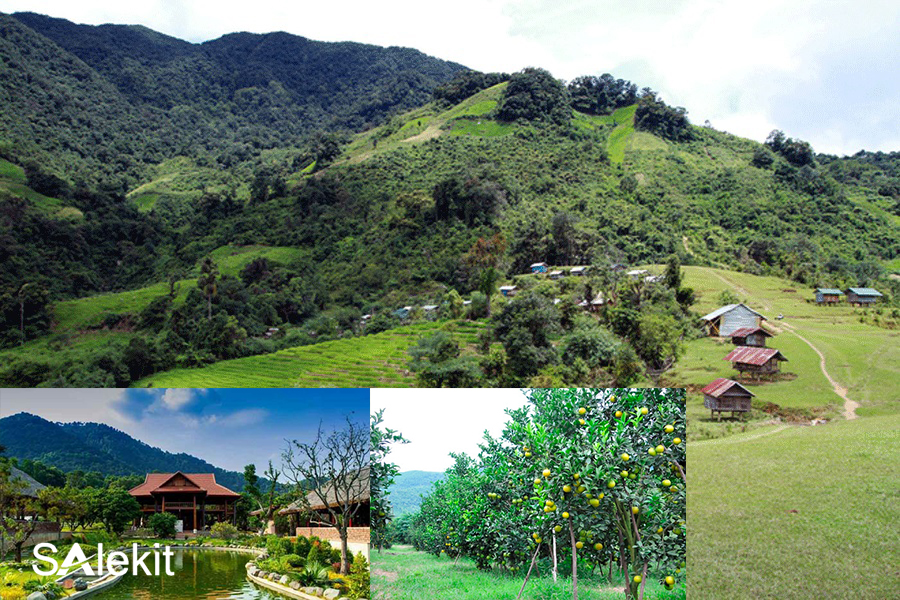 mo hinh lam giau tu nong nghiep