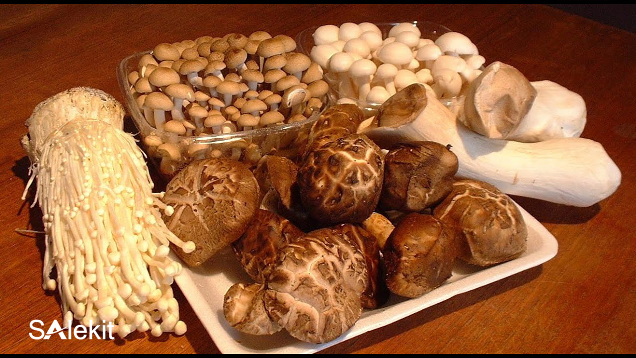 mo hinh lam giau tu nong nghiep