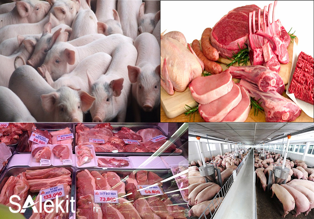 mo hinh lam giau tu nong nghiep