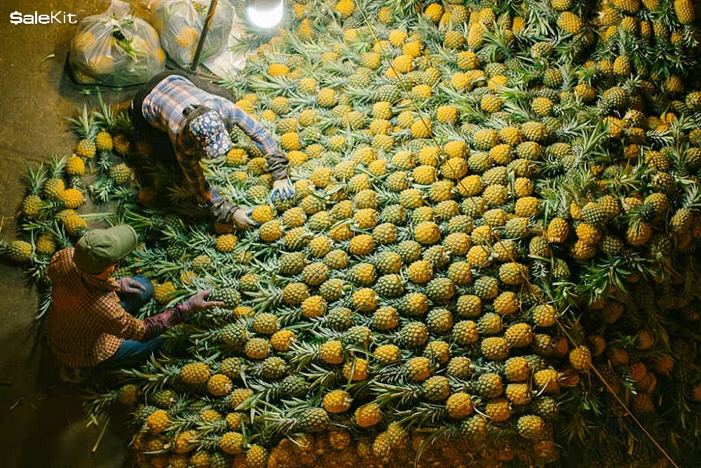 nguồn h&agrave;ng hoa quả sạch