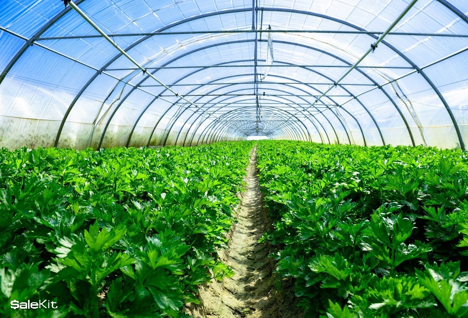 xu hướng kinh doanh của người trẻ hiện nay