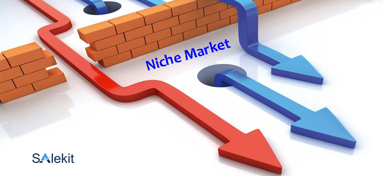 cach tim kiem thi truong ngach