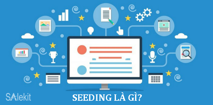 seeding la gi